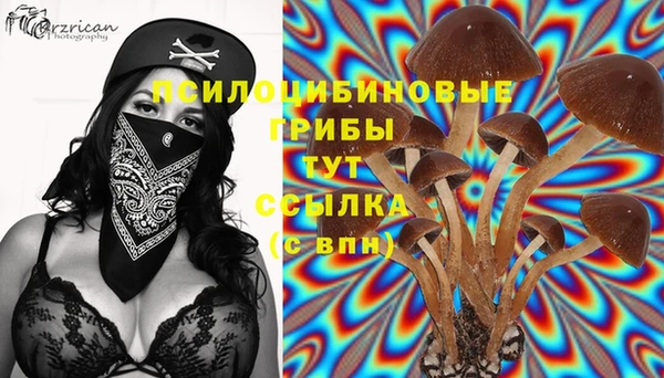 бутират Алексин