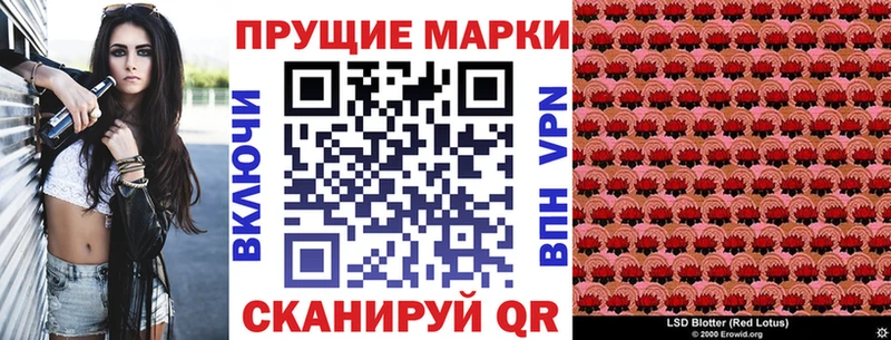 kraken tor  сколько стоит  Дзержинский  Марки N-bome 1500мкг 