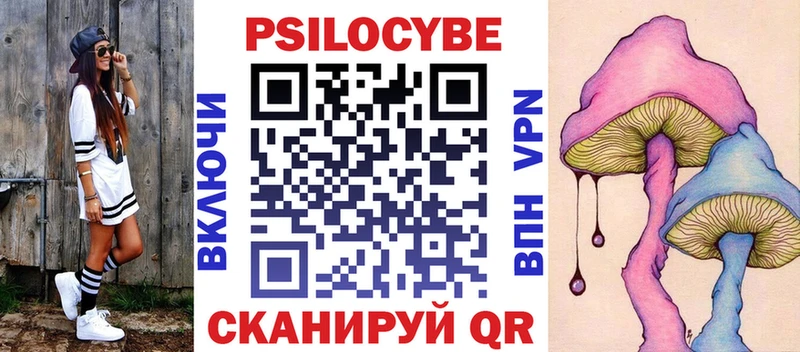 OMG ссылки  Дзержинский  Псилоцибиновые грибы Cubensis 