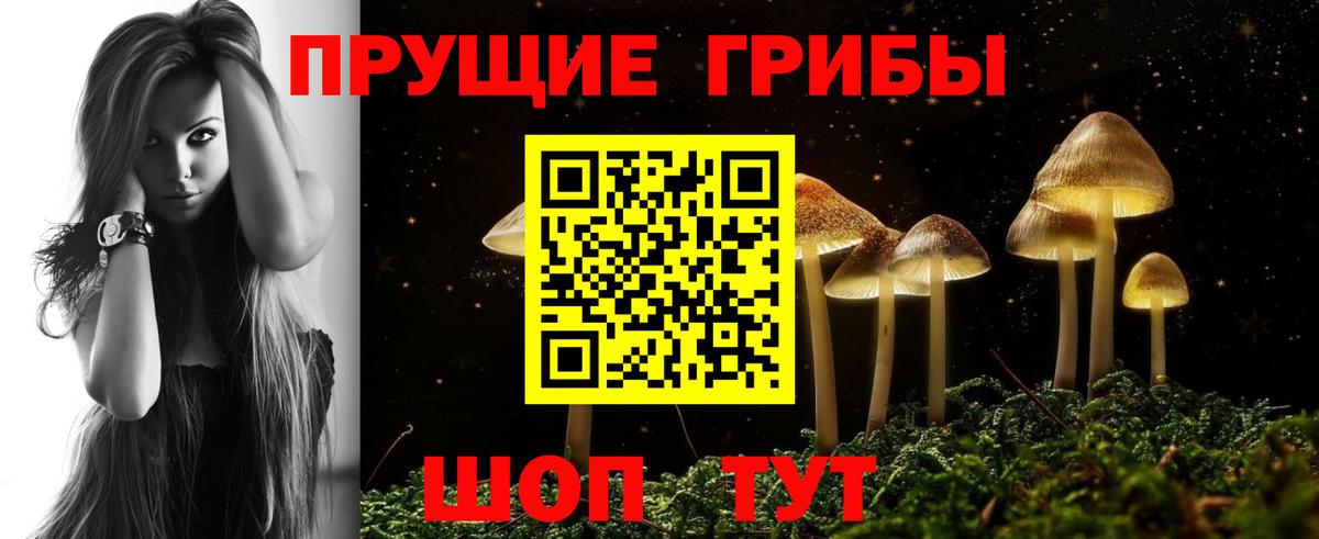 Дзержинский  Галлюциногенные грибы мицелий  Вход с VPN  Псилоцибиновые грибы GOLDEN TEACHER 